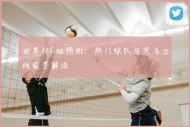 世界杯C组预测：热门球队与黑马出线前景解读