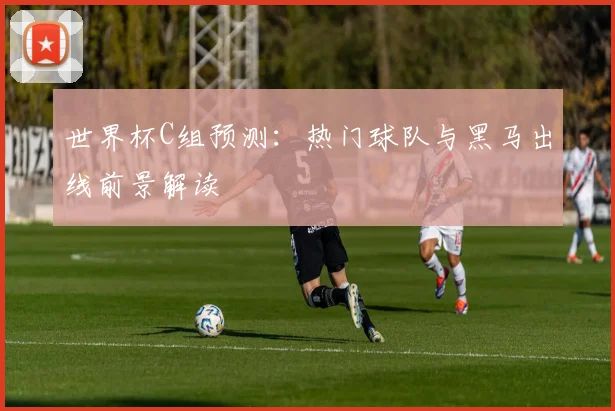 世界杯C组预测：热门球队与黑马出线前景解读