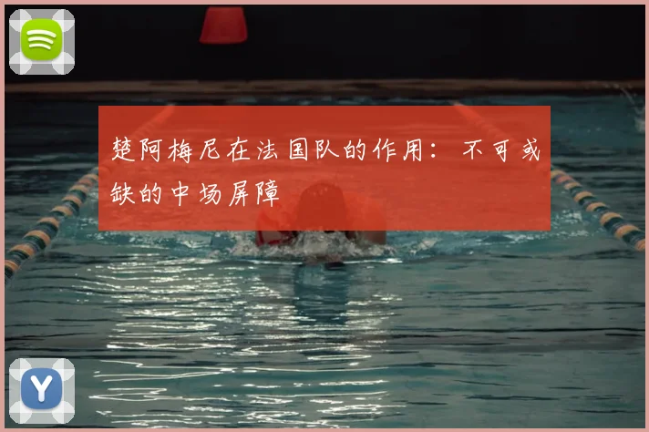 楚阿梅尼在法国队的作用：不可或缺的中场屏障
