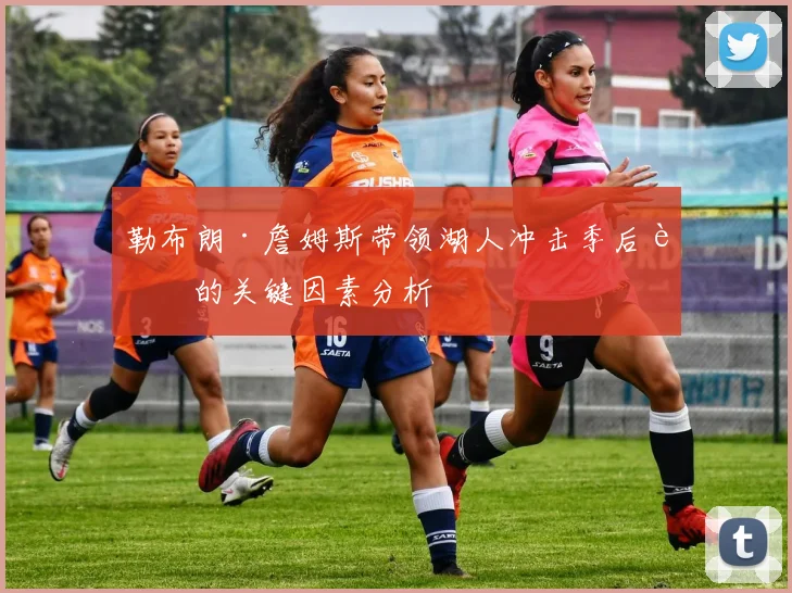 勒布朗·詹姆斯带领湖人冲击季后赛的关键因素分析