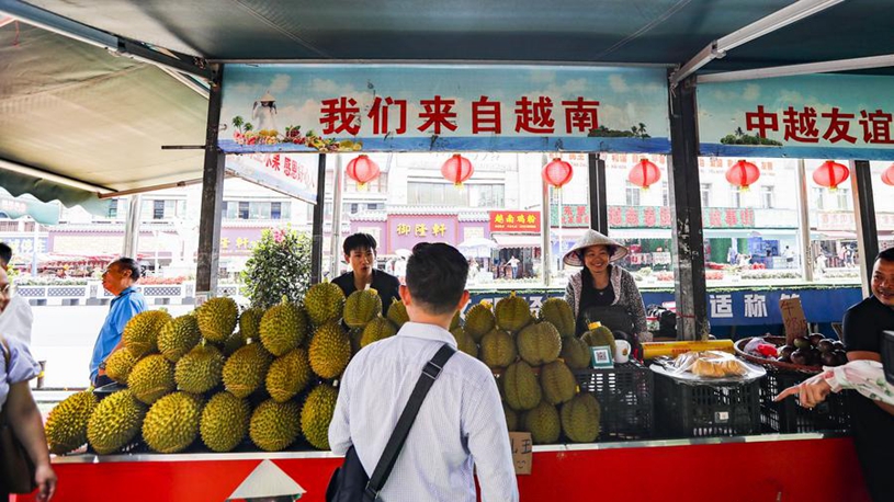 念和激情